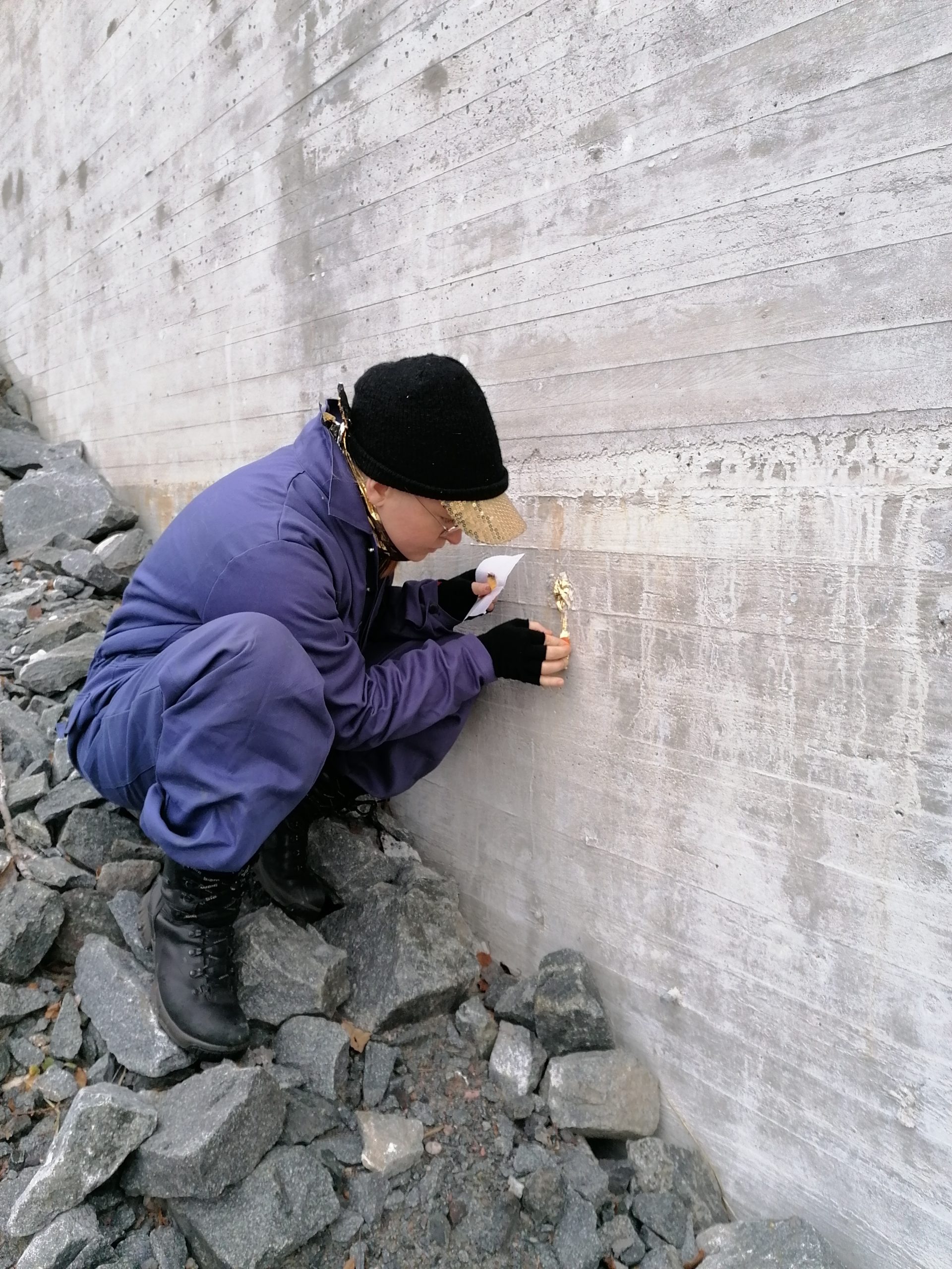 Kokkelin kullitus, 12/2019