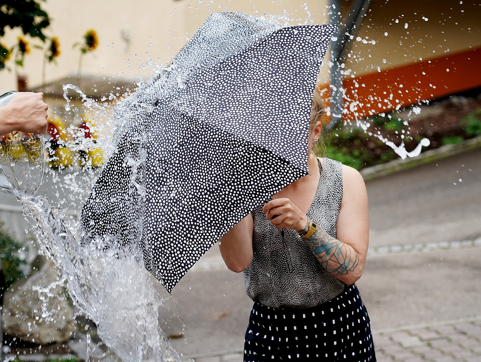 I steer, you pedal – prologue, 8/2021